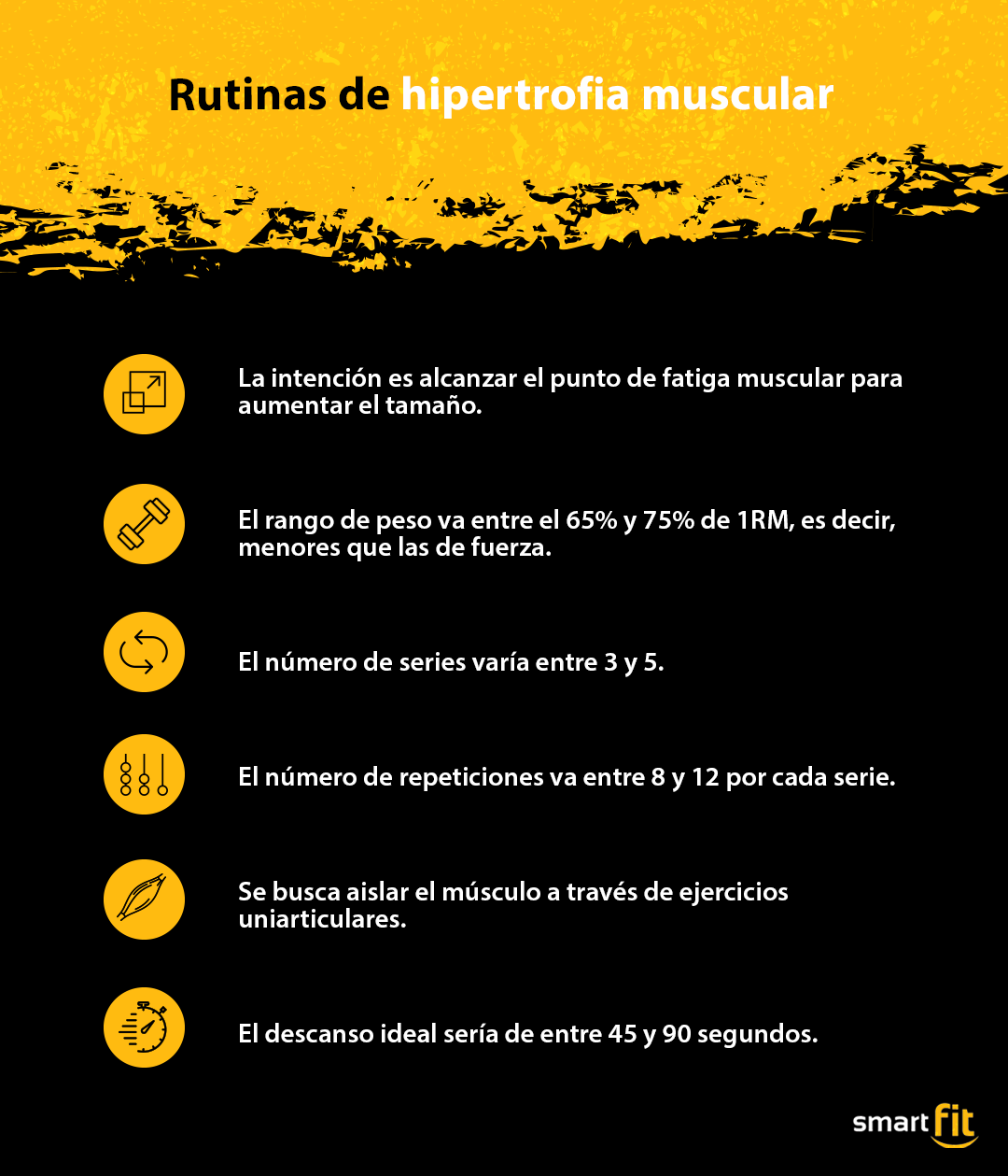 Diferencias Entre Rutinas De Fuerza Muscular E Hipertrofia