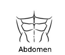 abdomen en V